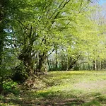 Oasis Dans Le Perche Rémalard