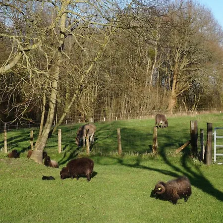 Oasis Dans Le Perche