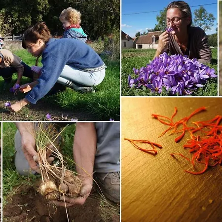 Oasis Dans Le Perche 4*