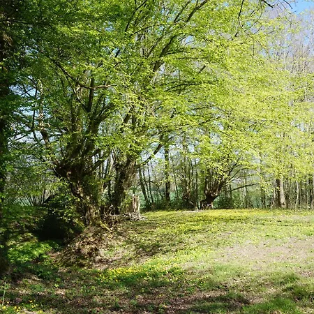 Oasis Dans Le Perche Rémalard