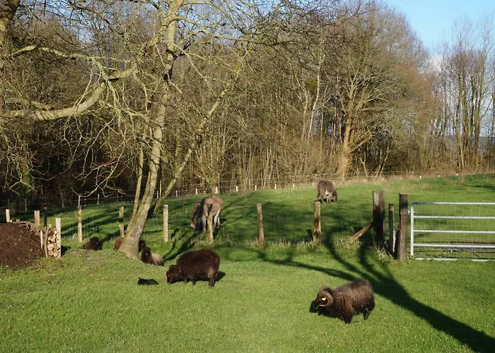 Oasis Dans Le Perche