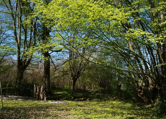 Oasis Dans Le Perche