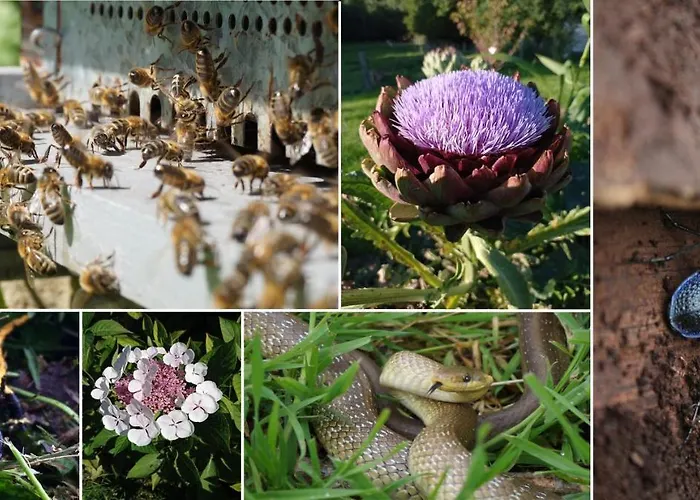 Oasis Dans Le Perche Guest house Remalard