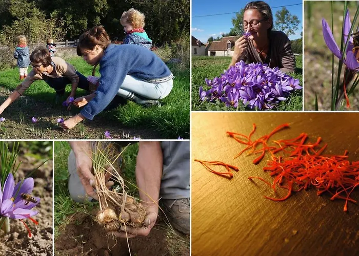 Oasis Dans Le Perche 4*