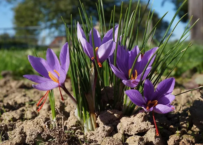 Oasis Dans Le Perche 4*