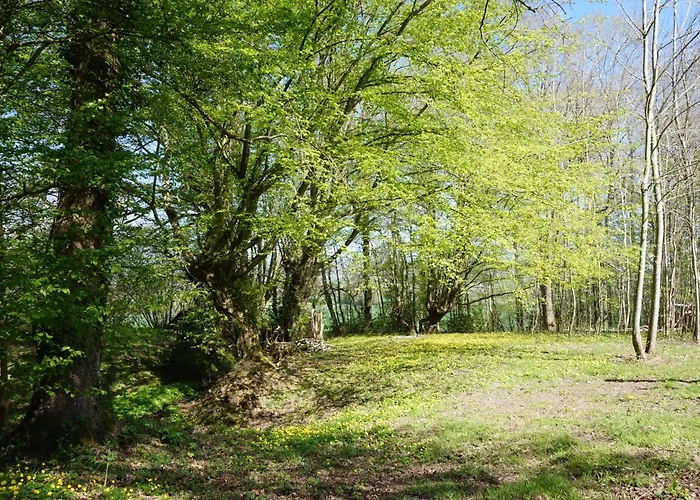 Oasis Dans Le Perche Remalard