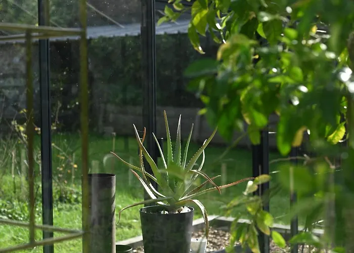 Oasis Dans Le Perche Guest house