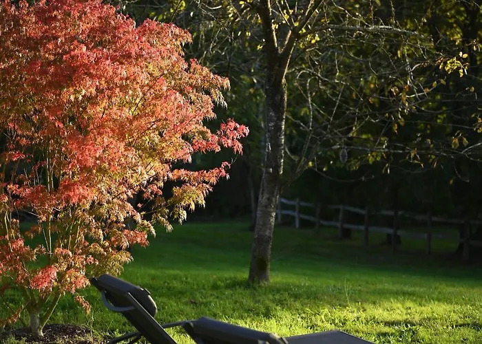 Oasis Dans Le Perche